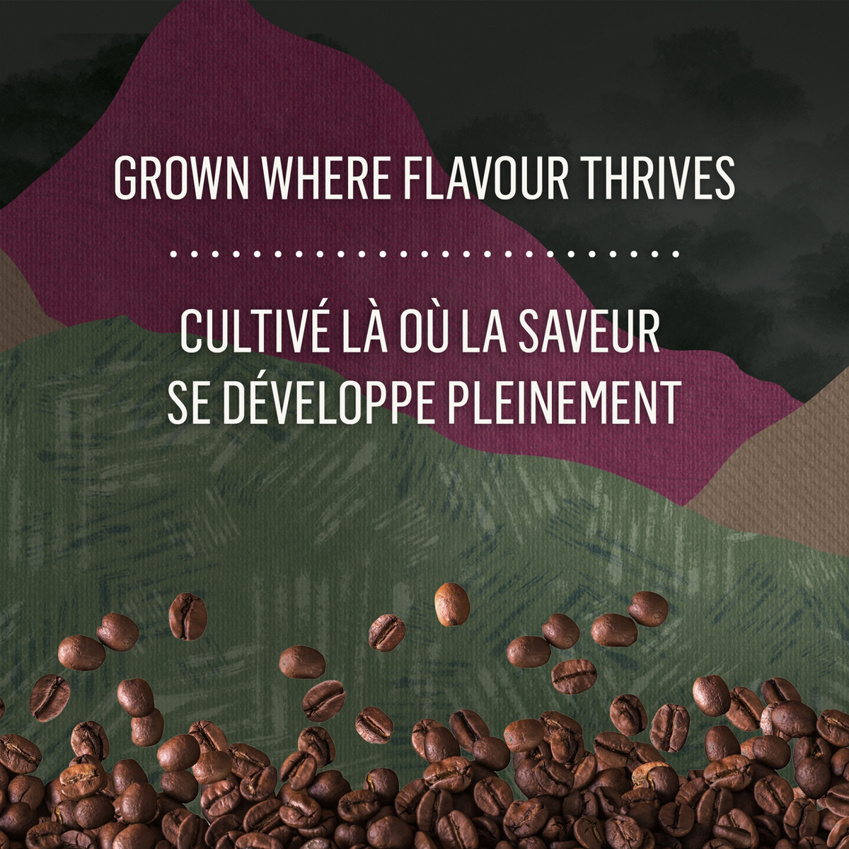 McCafé High Grown Organic Dark Roast Whole Beans I6